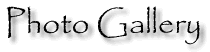 Cactus GTOs, Inc. Photo Gallery